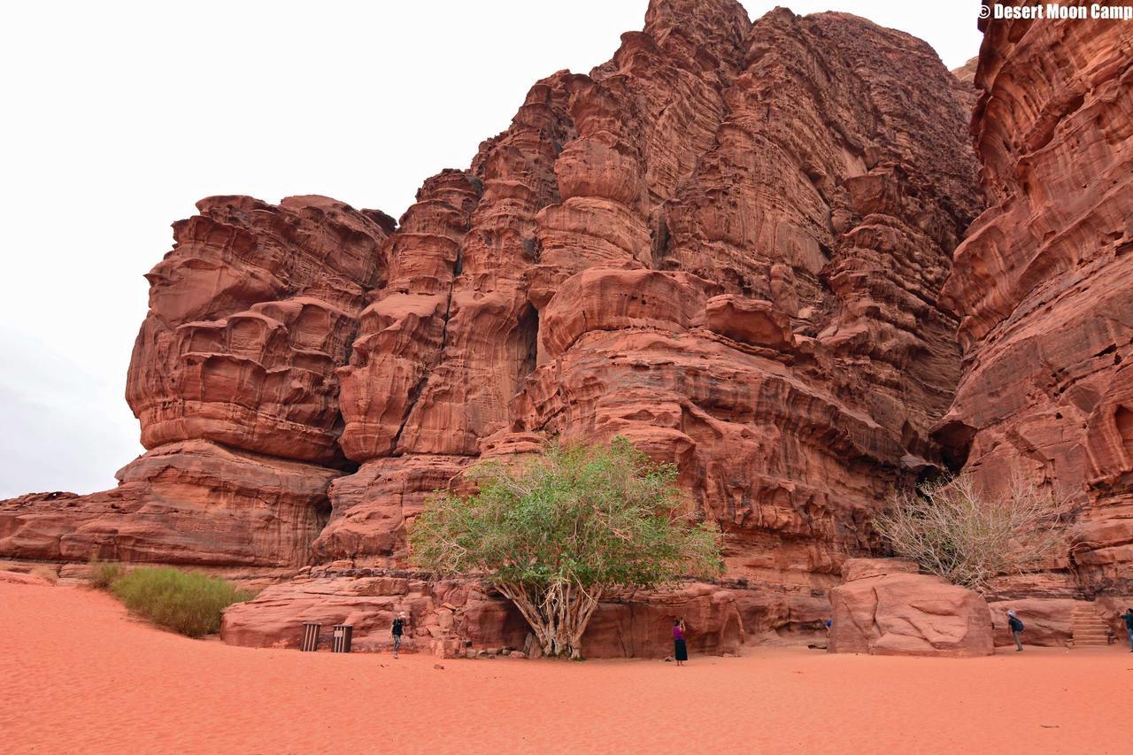 Desert Moon Camp Wadi Rum Luaran gambar